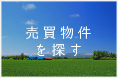売買物件