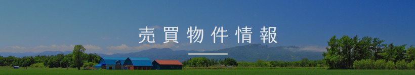 売買物件情報