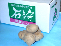 馬鈴薯