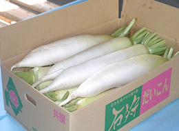 大根