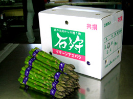 グリーンアスパラ