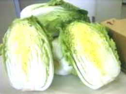 白菜