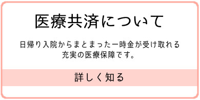 医療共済