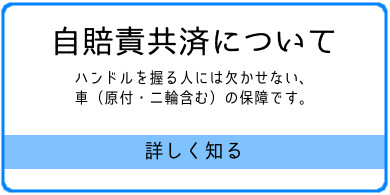 自賠責共済