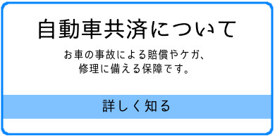 自動車共済