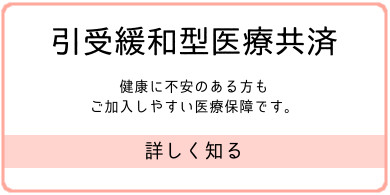 引受緩和型医療共済