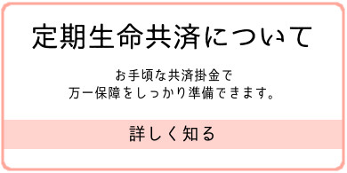 定期生命共済