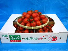 ミニトマト