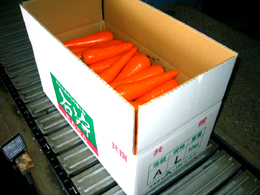 人参