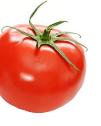 トマト