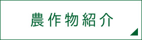 農作物紹介