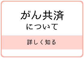 がん共済