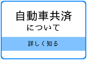 自動車共済