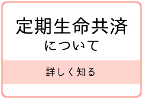 定期生命共済