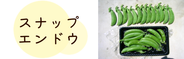 スナップエンドウ