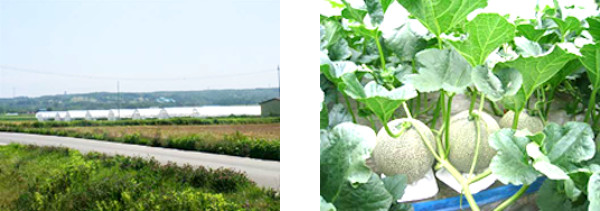 高岡地区