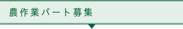 農作業パート募集