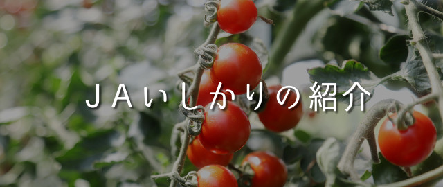JAいしかりの紹介