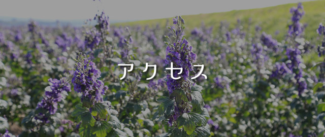アクセス