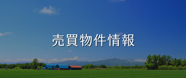 売買物件情報