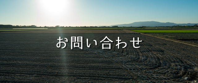 お問い合わせ