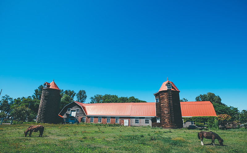 札幌の牧歌的な風景を守る近藤牧場の4代目 JAさっぽろ