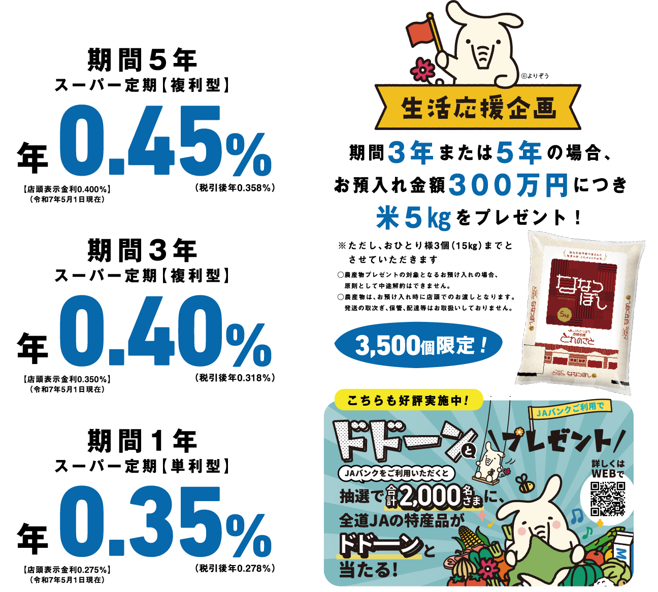 募集期間